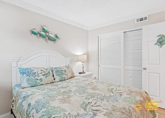 Dollar 410 Clearwater Beach